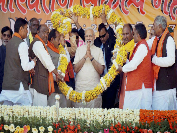  एक 'गधा' दूसरे हर जानवर से बेहतर
