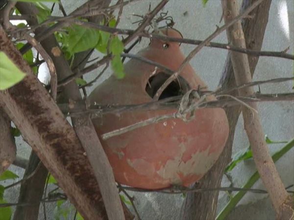 परिवार भी शामिल है इस मुहिम में परिवार भी शामिल है इस मुहिम में