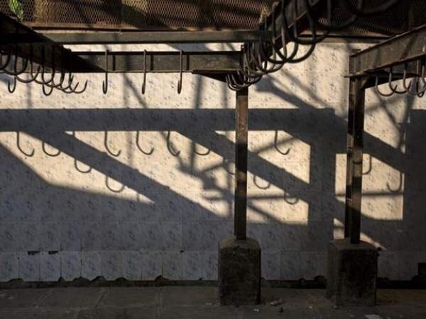 इटावा के घर-घर में चल रहे कत्लखाने