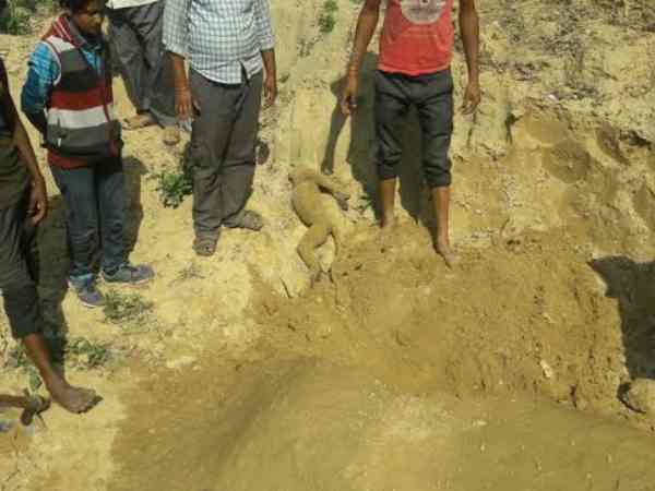 पुलिस ने कहा दोषियों को करेंगे गिरफ्तार