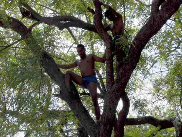 जंतर मंतर पर की थी आत्महत्या की कोशिश