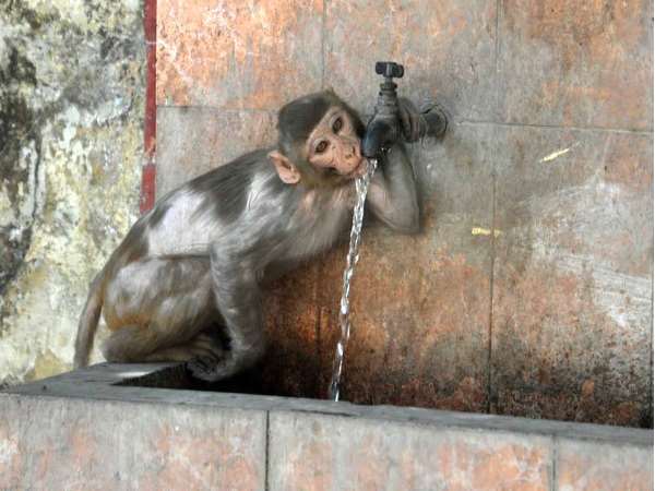 दिल्ली-मुंबई में भी गर्मी ने किया बेहाल