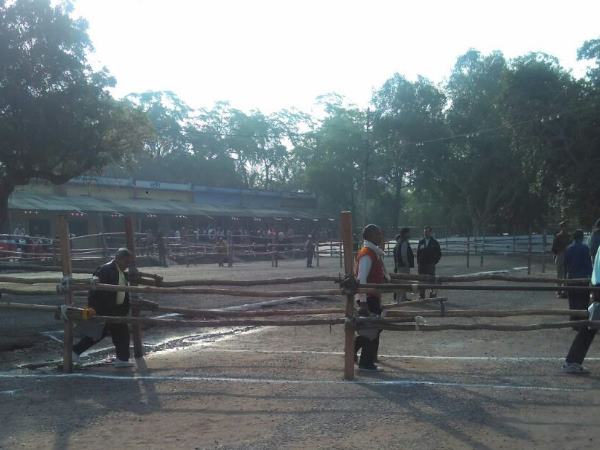 UP COUNTING LIVE: देखिए तस्वीरों में मतगणना और रिजल्ट