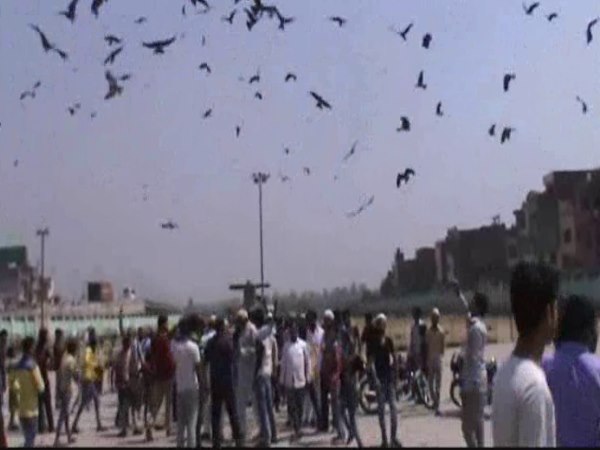 मुरादाबाद: भूखे परिंदों के लिए किया गया ये कैसा इंतजाम? मुकदमा दर्ज कर लोगों को भेजा गया जेल मुरादाबाद: भूखे परिंदों के लिए किया गया ये कैसा इंतजाम? मुकदमा दर्ज कर लोगों को भेजा गया जेल