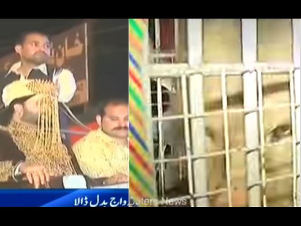 VIDEO: शेर पर बैठकर आया पाकिस्तानी दूल्हा, देखने वाले रह गए दंग VIDEO: शेर पर बैठकर आया पाकिस्तानी दूल्हा, देखने वाले रह गए दंग