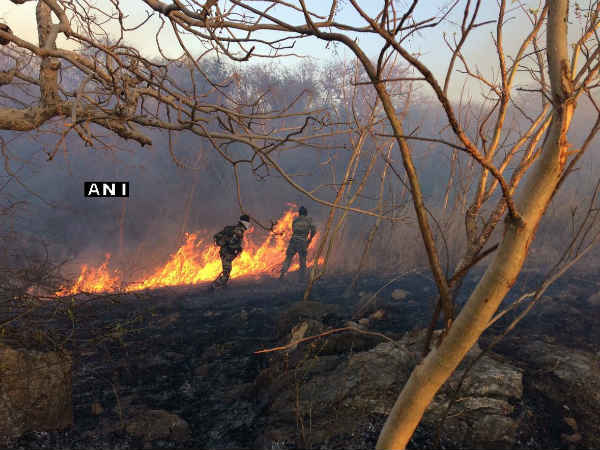Video:उदयपुर में आर्मी कैंट के पास लगी आग को इंडियन आर्मी और एयरफोर्स ने बुझाया Video:उदयपुर में आर्मी कैंट के पास लगी आग को इंडियन आर्मी और एयरफोर्स ने बुझाया