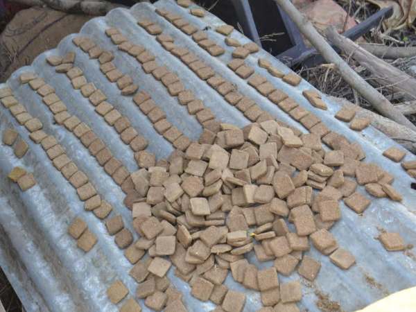 टीमों की रिपोर्ट मिलने पर होगी कार्रवाई