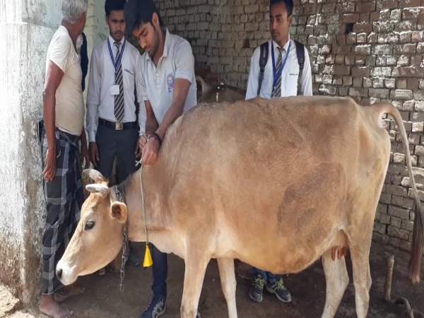 कितना हो सकता है सहायक ये डिवाइस कितना हो सकता है सहायक ये डिवाइस