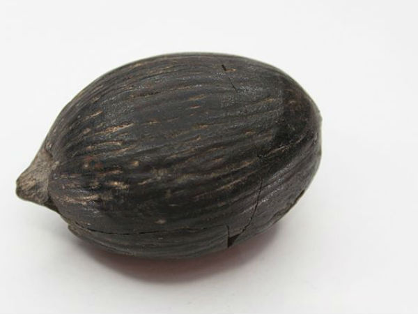  कोई भी हिंदू पूजा बिना नारियल के पूरी नहीं