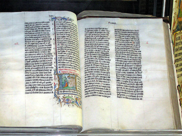 आत्मा के शुद्धीकरण का संदेश आत्मा के शुद्धीकरण का संदेश