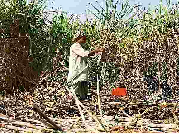 किसानों को फसल के बेहतर दाम