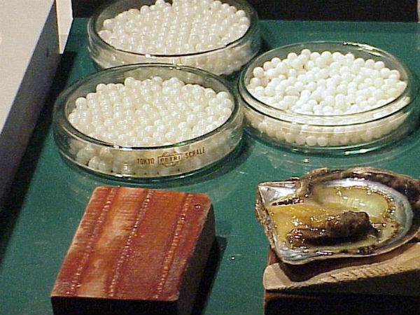 मत्स्य मणि: 