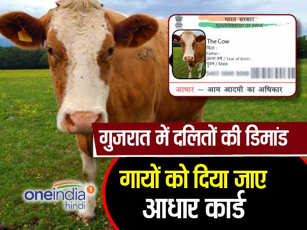 'जीव मत्रा करुणा ने पत्रा' थीम
