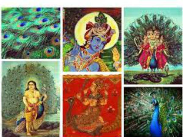 नवग्रहों की शांति के लिए मोर पंख का प्रयोग 