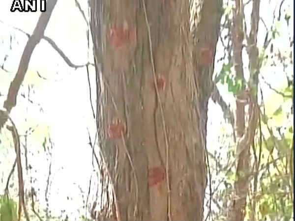 'विकास के खिलाफ हैं नक्सली' 