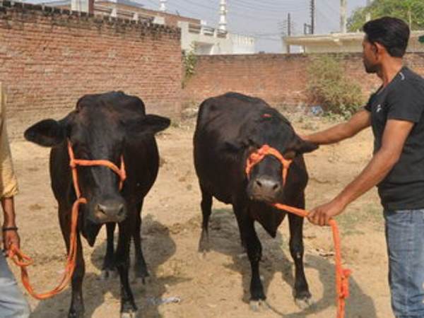 अगर आप जाना चाहे तो अगर आप जाना चाहे तो