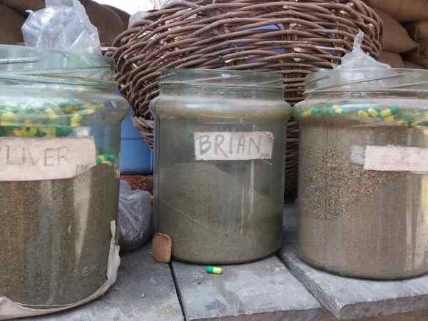 गायों की सामूहिक कब्रों वाले फार्म हाउस पर प्रशासन का ताला
