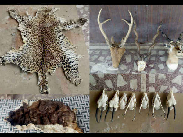 नीतीश के कहने पर बिहार में 250 नीलगाय मार चुका है प्रशांत