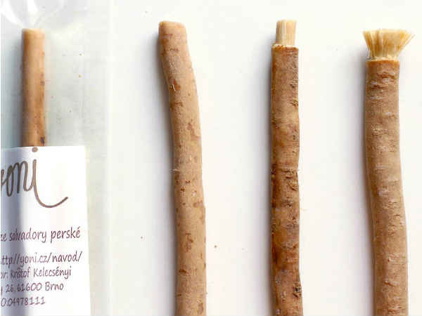 VIDEO: यह कंपनी 315 रुपए में बेच रही है एक दातून VIDEO: यह कंपनी 315 रुपए में बेच रही है एक दातून