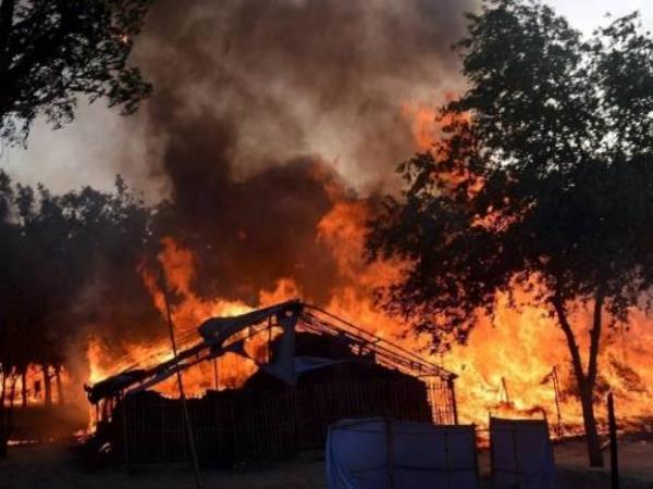 जवाहर बाग कांड: चश्मदीद ने दिया नया मोड़, शहीद एसपी सिटी और एसओ को मारी गई गोली चलाई थी पुलिस ने!