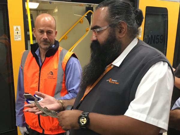 Snake on a train: Python takes joyride on Sydney train
