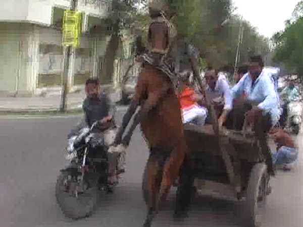 मोदी के आह्वान पर भाजपा नेता चढ़े तांगे पर,घोड़ा जवाब दे गया