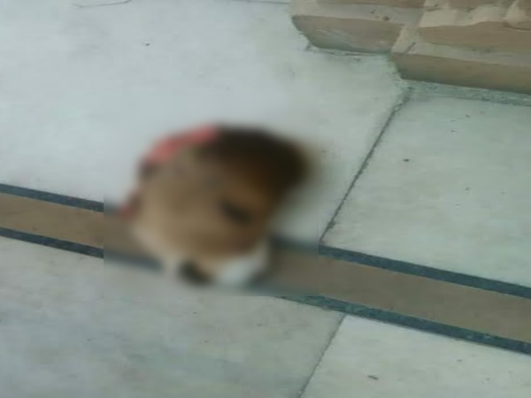 PICS: सांप्रदायिक हरकत से बिगड़ा मंदिर का माहौल, भक्तों में मची अफरा-तफरी तो बुलानी पड़ी फोर्स