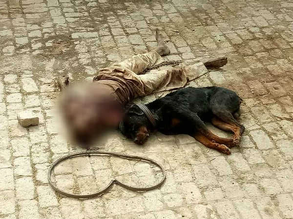  पालतू कुत्ता बना हैवान