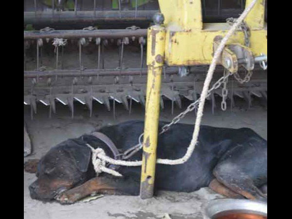  पुलिस को शक