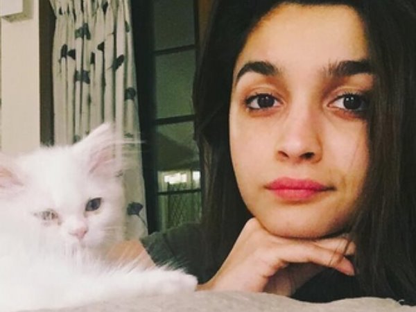 आलिया भट्ट को बिल्ली बहुत पसंद है