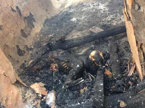 बच्चों को बचाने में मां ने जान दे दी