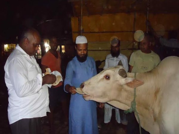 एक गाय की मौत ने बना दिया खुर्शीद को गौ सेवक एक गाय की मौत ने बना दिया खुर्शीद को गौ सेवक