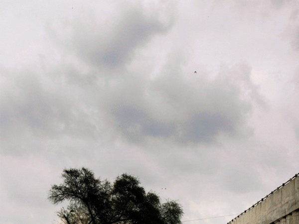 सितंबर तक जारी रहेगी बारिश