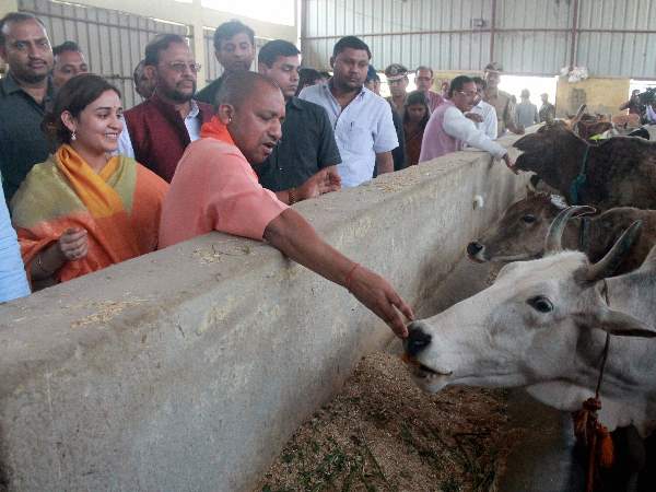योगी सरकार की जमकर की तारीफ