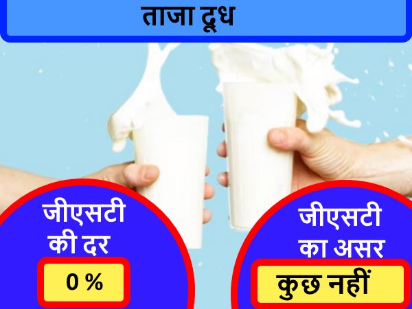 ये हैं वो 11 चीजें, जिन पर नहीं लगेगा जीएसटी, ये रही पूरी लिस्ट ये हैं वो 11 चीजें, जिन पर नहीं लगेगा जीएसटी, ये रही पूरी लिस्ट