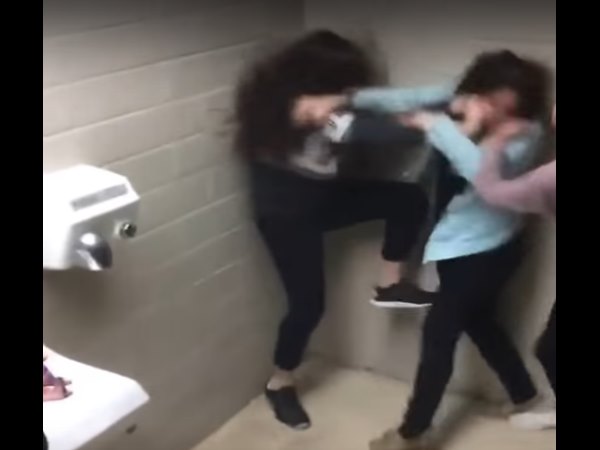 यूजर्स ने कहा, कैट फाइट