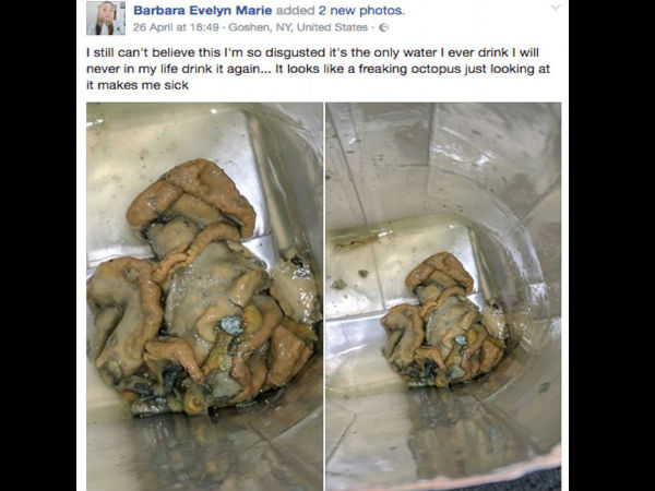  नारियल पानी से निकला अजीब सा चीज