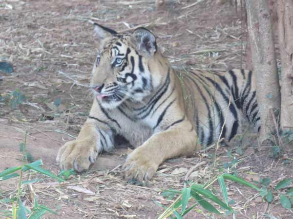 सोशल मीडिया पर मि‍ली लोगों की बधाइयां 