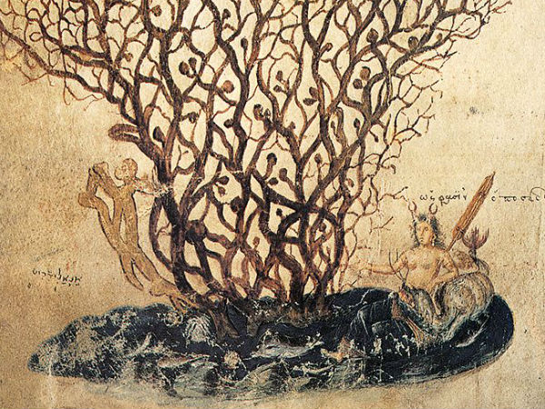 असली मूंगा असली मूंगा