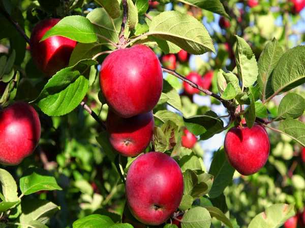 मौज-मस्ती में पिसती रोजी-रोटी!