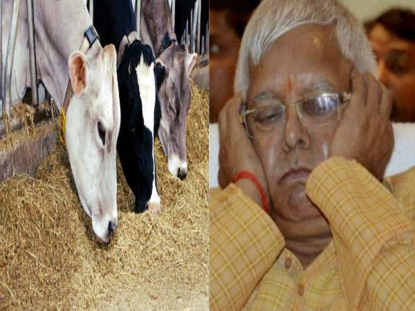 कॉमेडी या तीखे हमले!