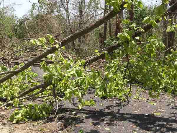 इन लोगों का हुआ अधिक नुकसान, घायल भी हुए
