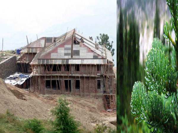 सब कुछ है प्रियंका के पसंद का