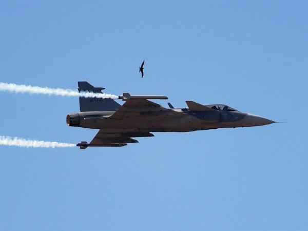 छोटा संघर्ष भी खतरा 