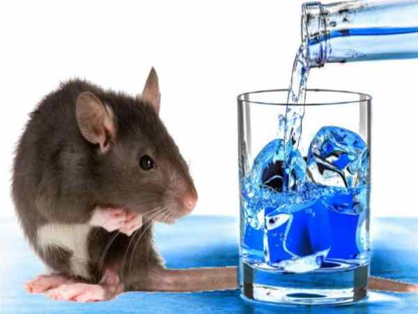 पुलिस पर खड़े हुए सवाल