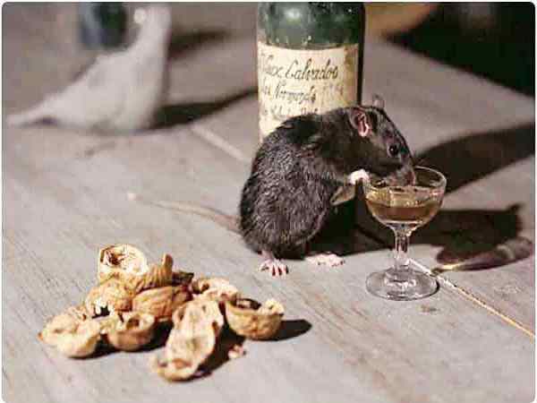 पुलिस पर हुआ मामला दर्ज