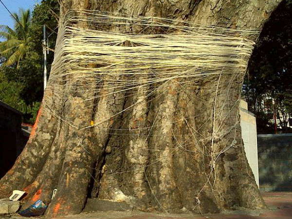 अखंड सौभाग्यवती रहने का आशीष प्राप्त 