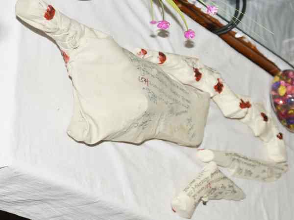बंगाल के रहने वाले हैं सभी संपेरे