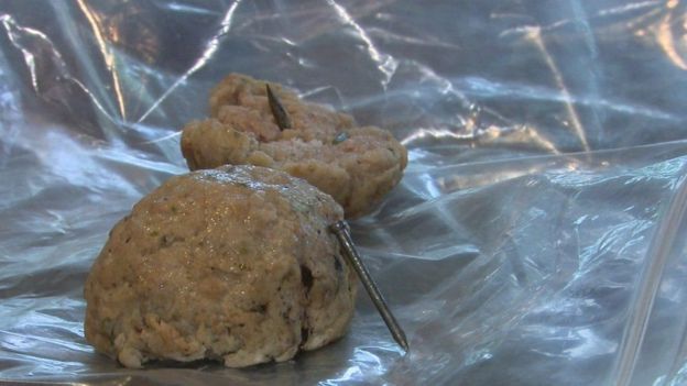 औरत ने कुत्ते को कीलें क्यों खिलाईं? औरत ने कुत्ते को कीलें क्यों खिलाईं?