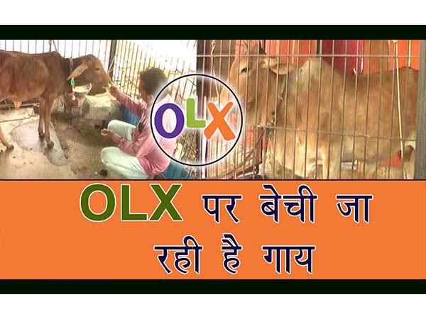 क्या है पूरा मामला?